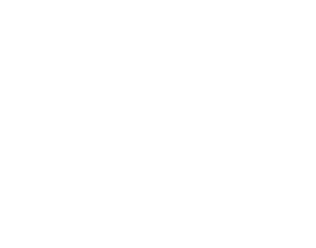 Airborne Fit Logo